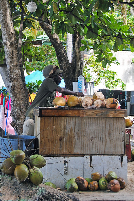 selling coconuts