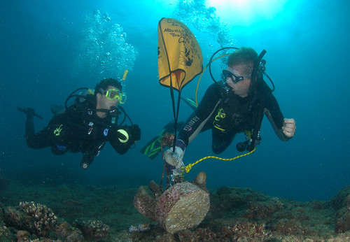 UniDive volunteers conducting marine surveys.