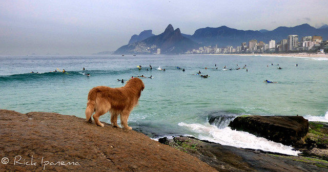 Esperando  o seu Amigo - Arpoador - Rio de Janeiro Waiting For Your Friend - Ipanema Beach - Rio 2016