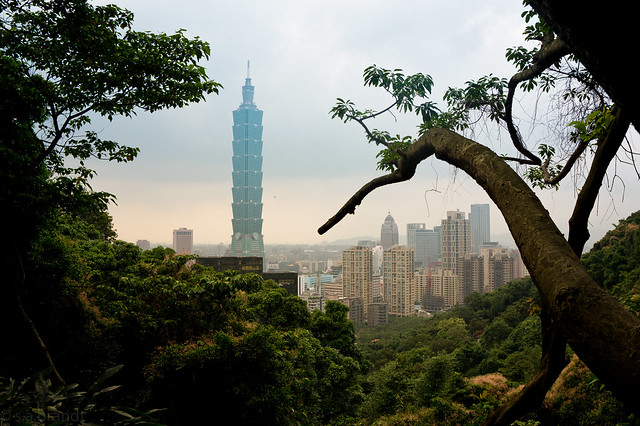 Taipei 101: Through the trees