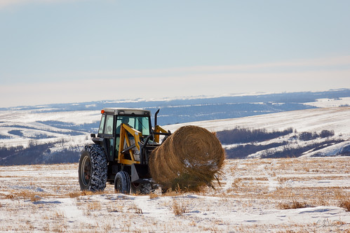 winter tractor farming hay saskatchewan 2014
