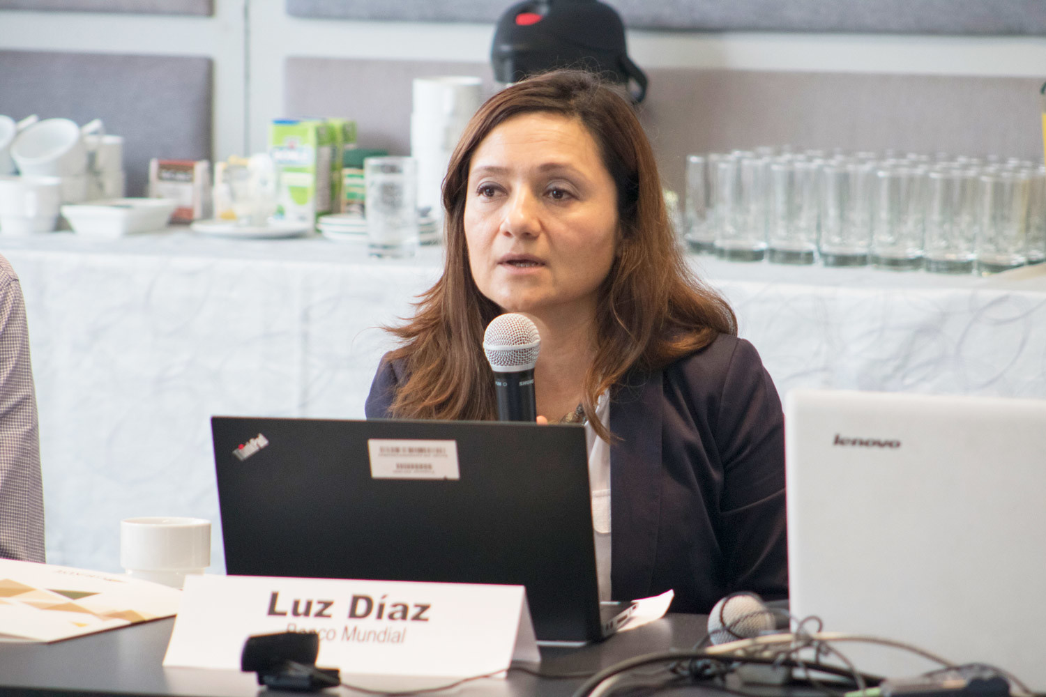 Luz Díaz, Especialista Senior en Agronegocios del Banco Mundial.