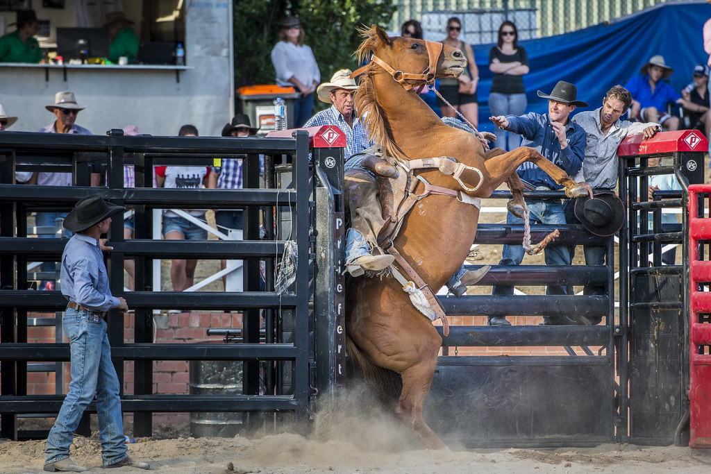 14-02-08_Cooma_Rodeo_2144a | Tony Sergo | Flickr