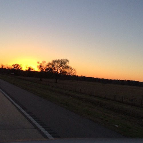 Something I don't see too many of - a southern Mississippi sunset. by timakimoff, square squareformat iphoneography instagramapp uploaded:by=instagram foursquare:venue=4ecd42ce0aafc1