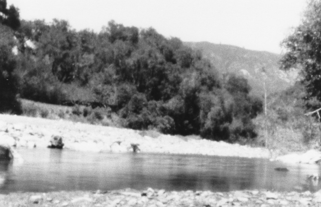Elk Camp Trail