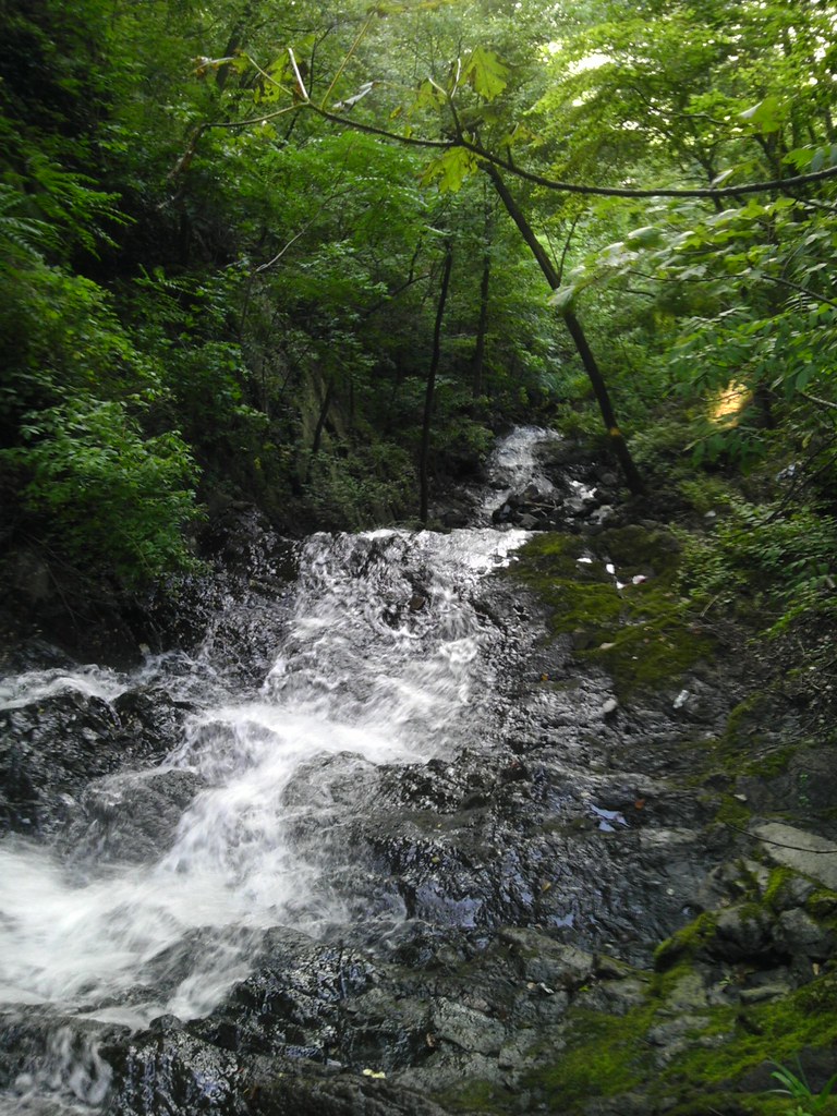 Haring Rock, near Rubin Run