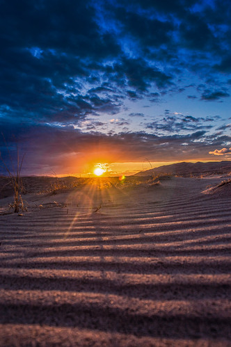 Mojave National Preserve | by missjessbess