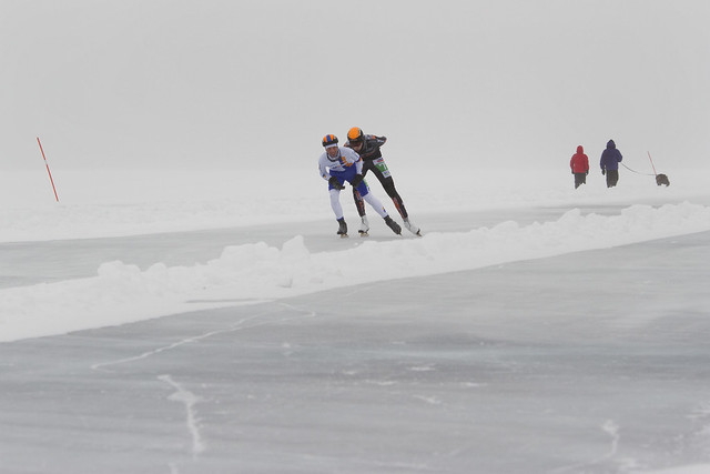...två åkare & ett par m hund /..two skaters and a couple walking their dog