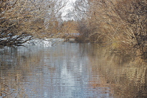 Harts Creek, Lake Ellesmere, New Zealand by Steve Attwood, Photographed on the eve of Wintertrees light newzealand reflection water creek canon landscape strea