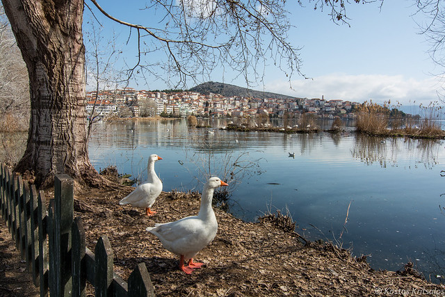 Kastoria City and Lake