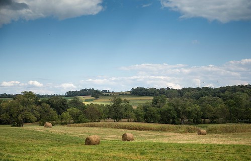 summer rural pennsylvania farm pa round fields bales lancastercounty pastoral jennifermacneilltraylor jennifermacneill jennifermacneillphotography