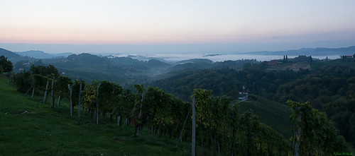 fog sunrise nikon nebel vineyards nikkor sonnenaufgang vr afs eckberg weinberge südsteiermark 1685 d7100 southstyria