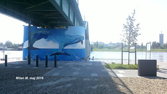 Mural Delfini na stubu Satari savski most (Tramvajskog mosta), Beograd maj 2016