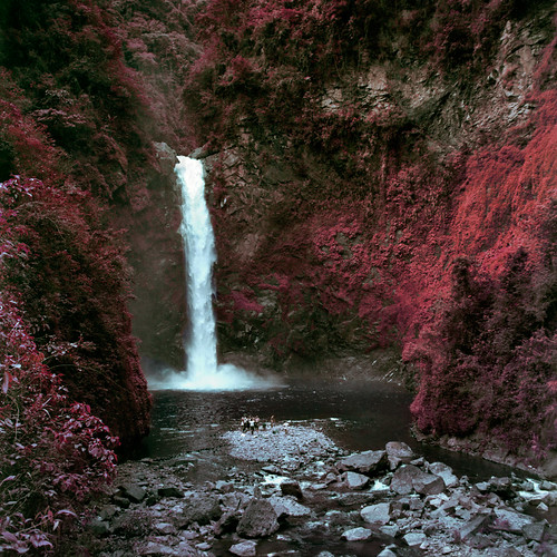 film analog square waterfall lomo lomography philippines 66 lubitel infrared batad roteflora lomochromepurple