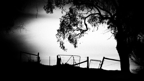 trees winter sunset bw horizontal fence cool gate hill australia melbourne victoria lilydale 12c heatherlie