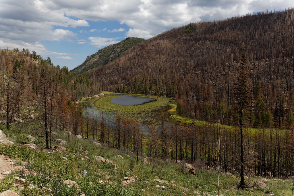 Cub Lake-Mill Creek Basin Trail