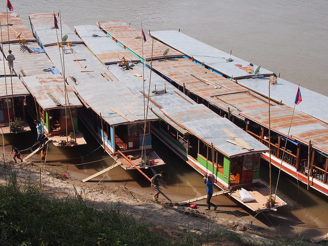 Long Boats-Mekong River-Luang Prabang-Laos