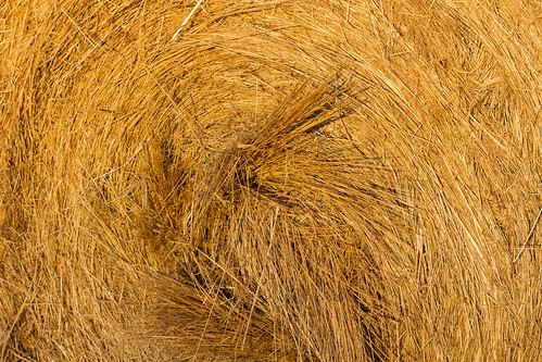 oregon canon hay agriculture acratech reallyrightstuff rrs washingtoncounty canonef24105mmf4lisusm eos7d