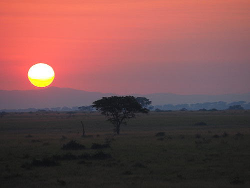 africa sunrise views uganda queenelizabethnationalpark