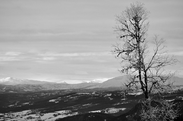 Winter at Mosetertoppen, Hafjell, Norway