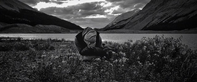 Crying among flowers (Jasper National Park, Canada. Gustavo Thomas © 2013)