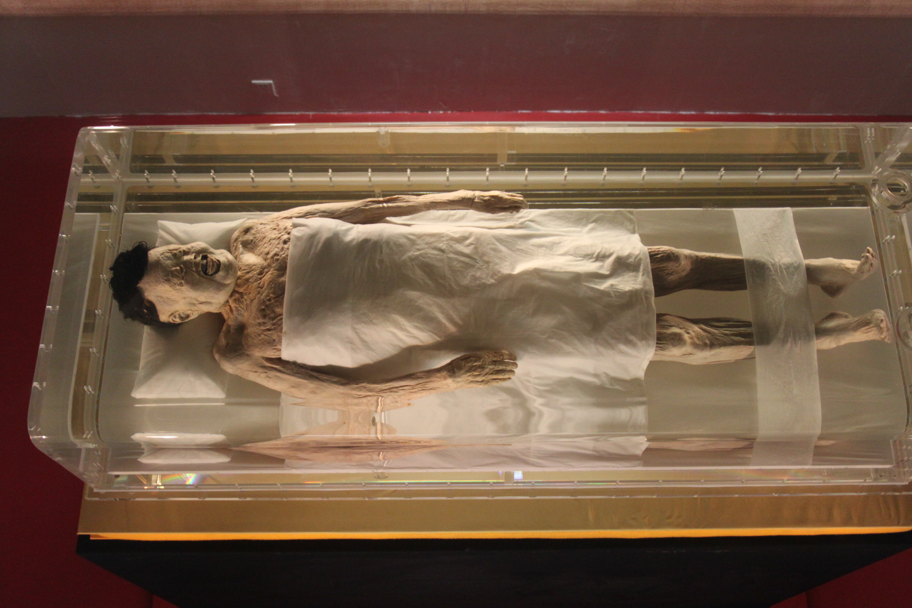 Corpse of Lady Dai, Xin Zhui