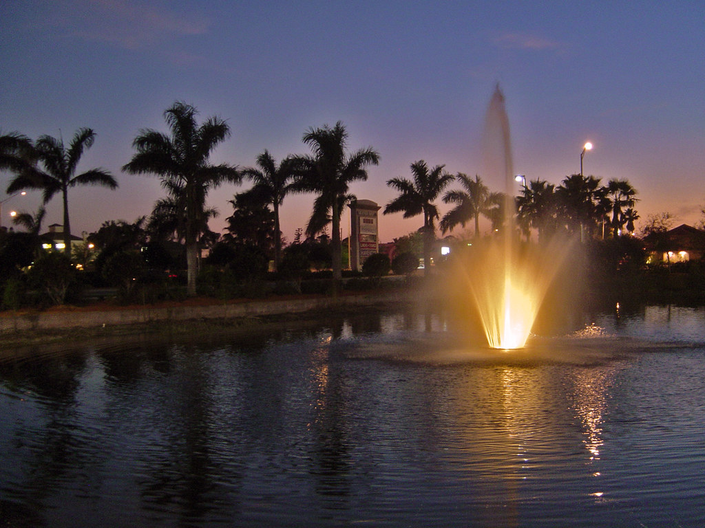 Fountain and Palm Trees