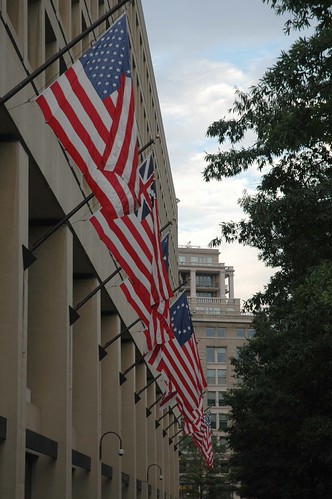 American flags | by Fabrizio Zago - Photography and media