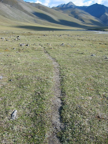 Caribou path