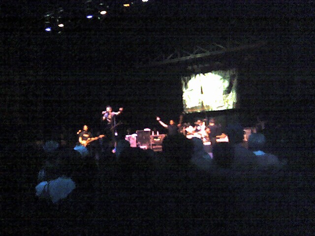 Zebrahead