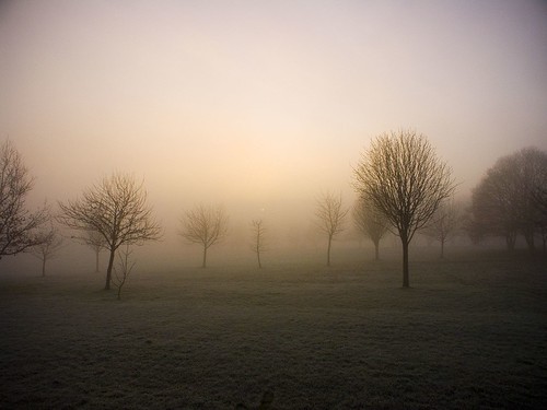 trees light sun mist tree grass fog sunrise frost glow leeds favme bleak middleton printforsale okforitv