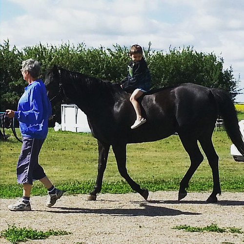 In our #family, everyone's first #ride is #bareback! #horse #horseback #riding #farm #acreage #farmlife #saskatchewan #sask #boymom #momofboys #kidsofinstagram | by MommyKatandKidsBlog