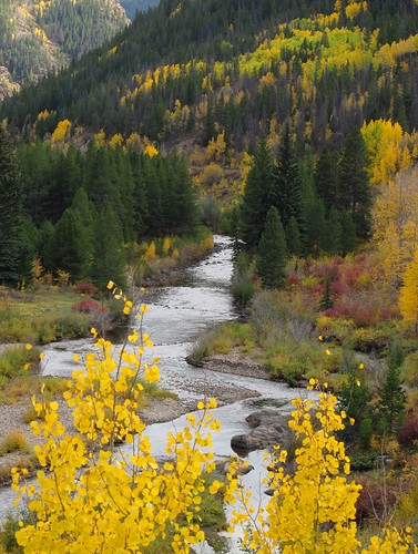 autumn trees wild mountains fall nature colors beauty creek forest river landscape outdoors colorado colorful stream view hiking fallcolors adventure valley eagleriver aspens rockymountains exploration upstream discovery ecosystem riparian eaglecounty aspentrees flowingwater whiterivernationalforest zoniedude1 canonpowershotg11 earthnaturelife coloradoexpedition2012 8250ftelevation streamingthroughautumn