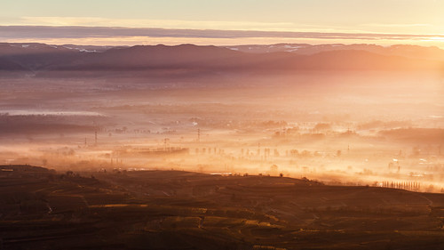 morning fog sunrise nebel foggy freiburg schwarzwald emmendingen ruhe schwaden rhainebene