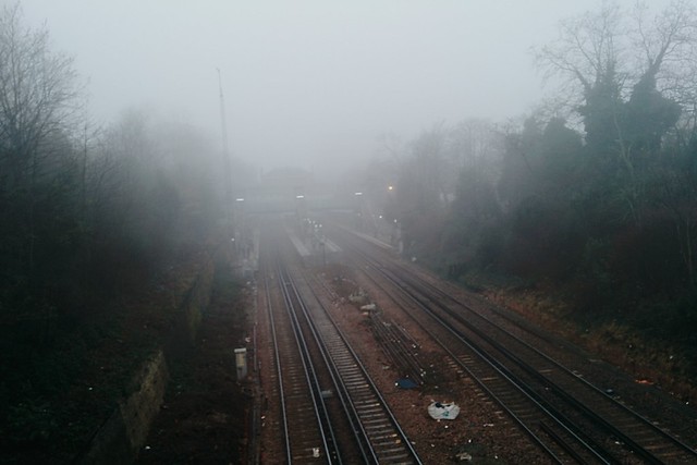 Denmark Hill, fog.