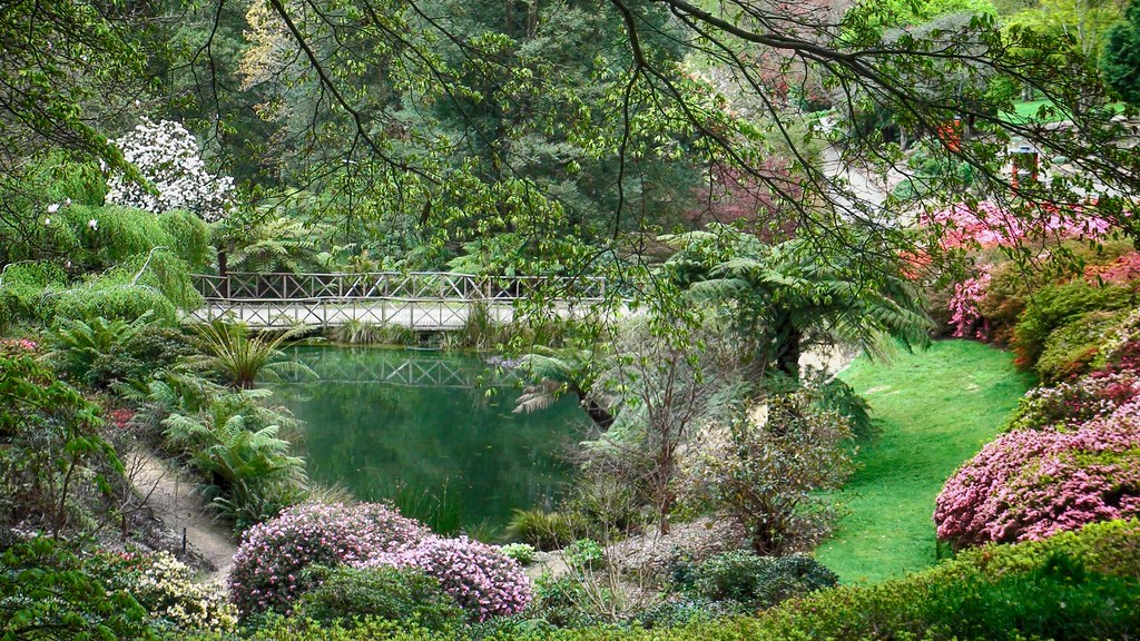 Rhododendron Gardens #1 | photographed at the National R… | Flickr