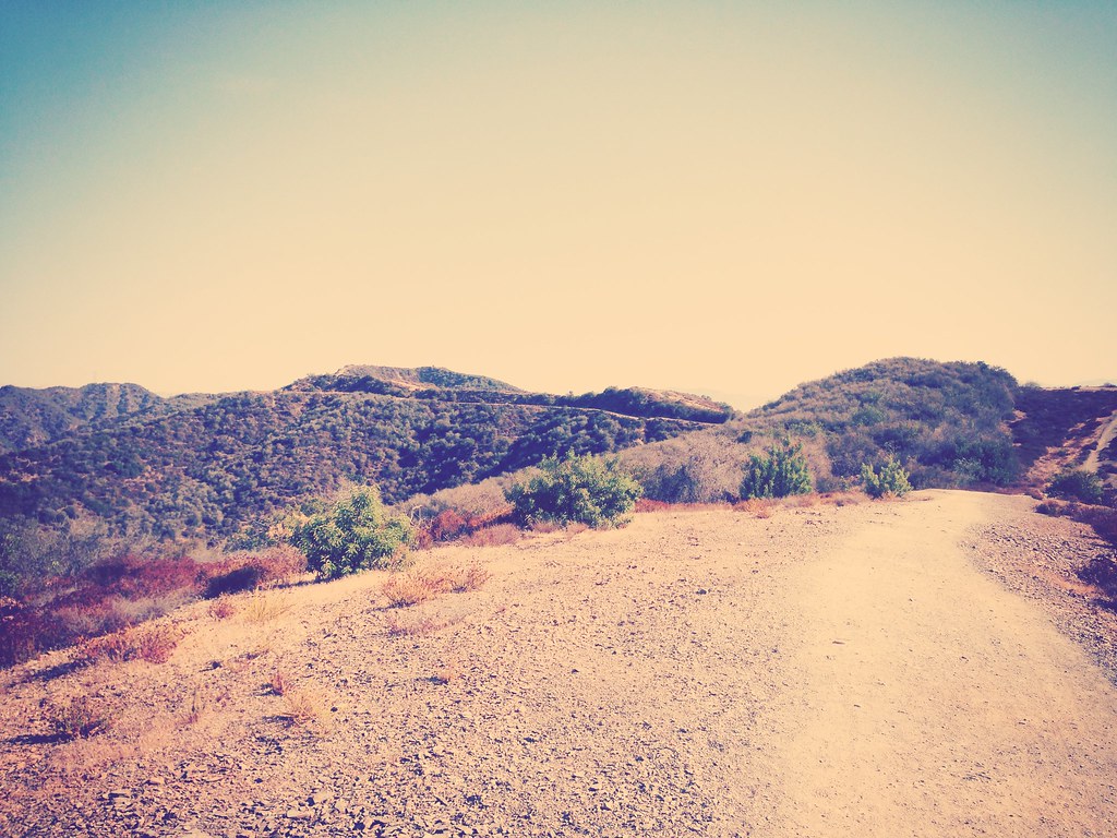 Canyon Back Trail