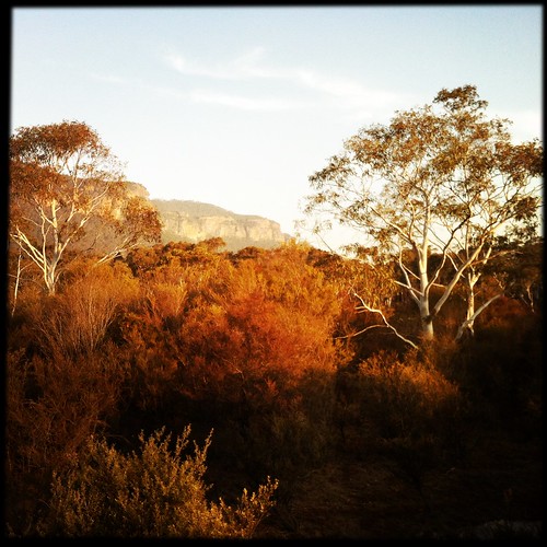 trees mountains colour square landscape australia bluemountains cliffs squareformat nsw newsouthwales unedited iphone megalongvalley mobilephotography iphone4 iphoneography hipstamatic janelens sugarfilm oggl