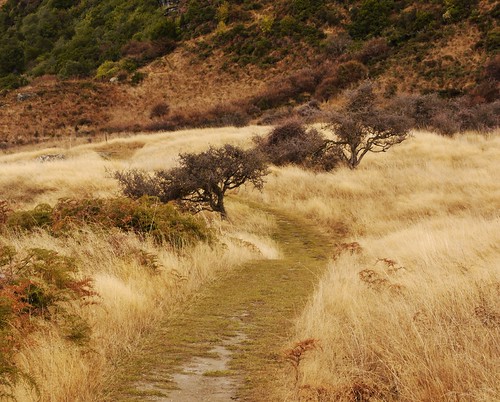 Pathways | by Chris Hare