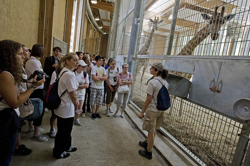 VISITE GUIDEE DANS LES COULISSES DU ZOO DU PARC DE LA TETE D OR. | by Le Progrès