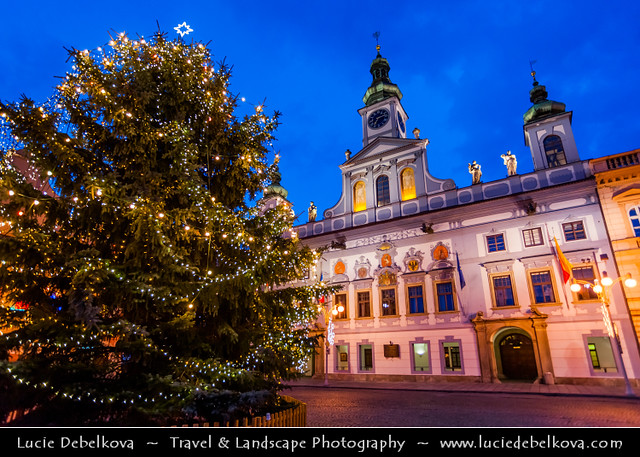 Czech Republic - České Budějovice - Budweis - Large Christmas Tree at Dusk - Twilight - Blue Hour