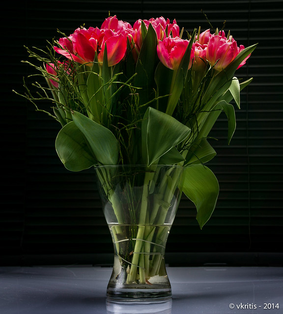 tulips-4.jpg