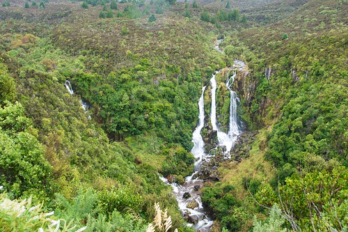 new newzealand plant tree water creek river landscape waterfall stream falls zealand taupo sh5 statehighway5 waipunga
