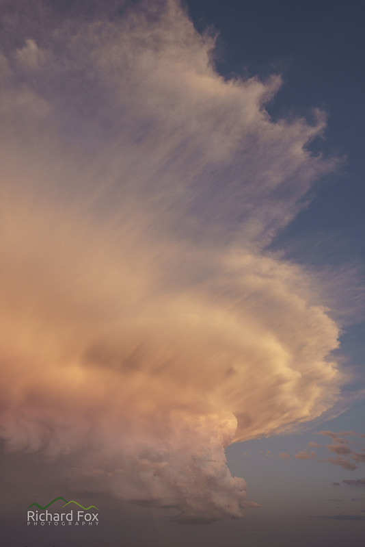 Pink Supercell II