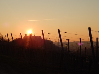 Sunrise over Würzburg