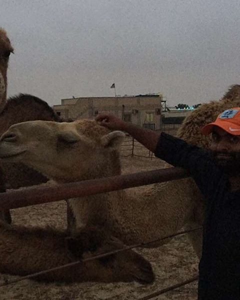 Befriending a camel.. she is sweet!