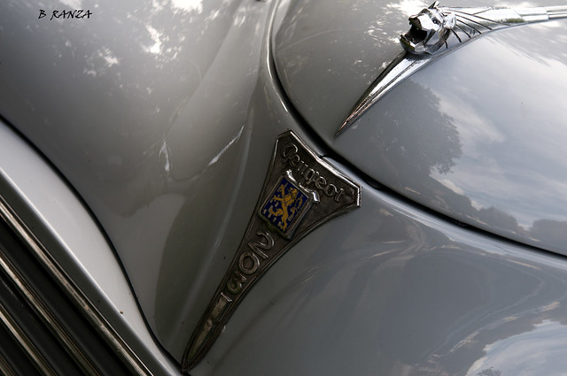 De belles bajoues grises - Peugeot 203