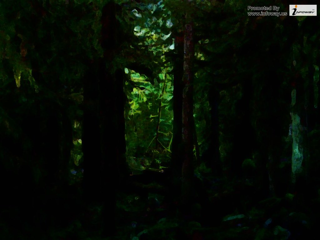 Dark forest wallpaper | Dark forest wallpaper | Flickr