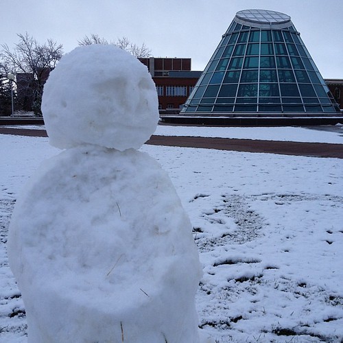 Found this snowman on Terrell Library @WSUPullman #wsusnow #gocougs