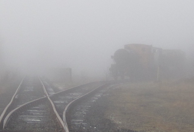 Upline In The Mist